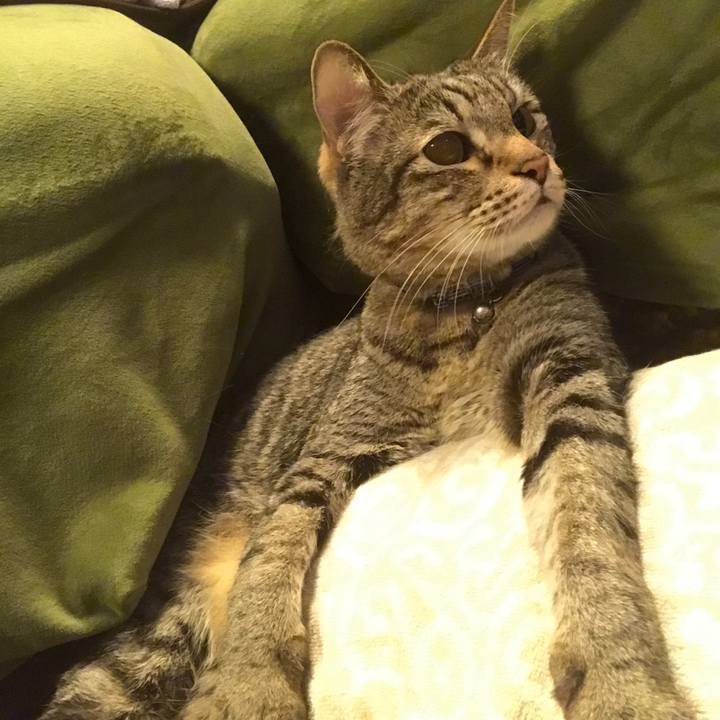 A9561388 1a4c 4898 b63c 7182b6ebc0f8 1561129723092