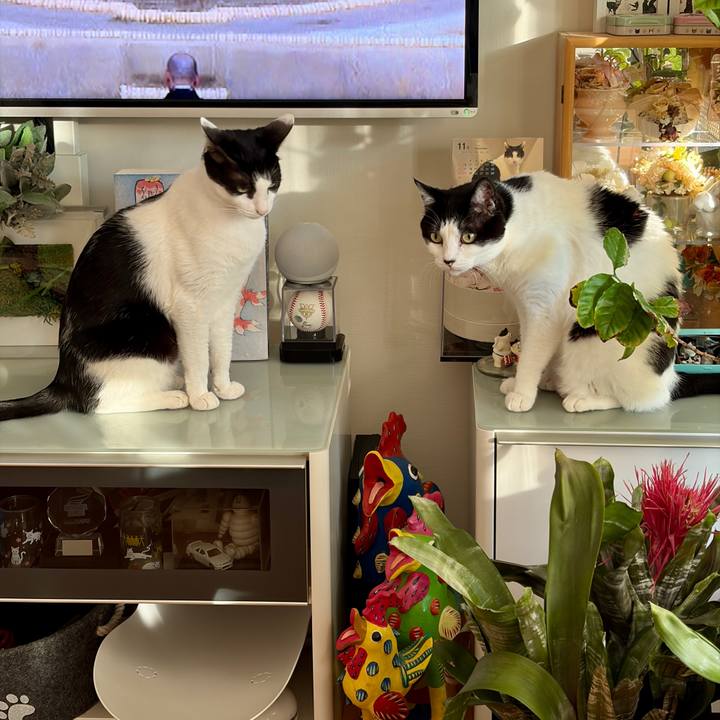 A9562015 1150 4f72 9f30 351868111ec1 1763561256690