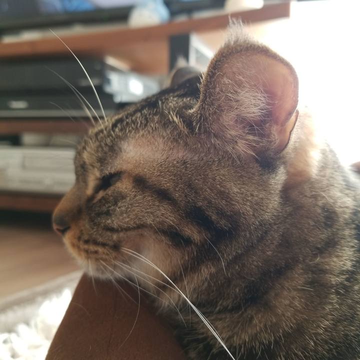 A9565642 5db8 44c6 9289 4e9bd87118e9 1577928352979