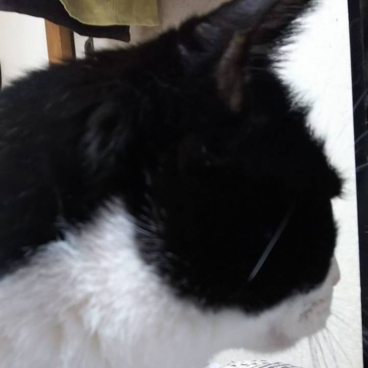 A9565e27 344b 4bb6 8467 7c694565eaa2 1575496297887