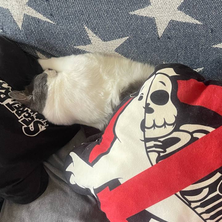 A9568a01 e687 4a63 b53d 8c53d0e14945 1651318692645