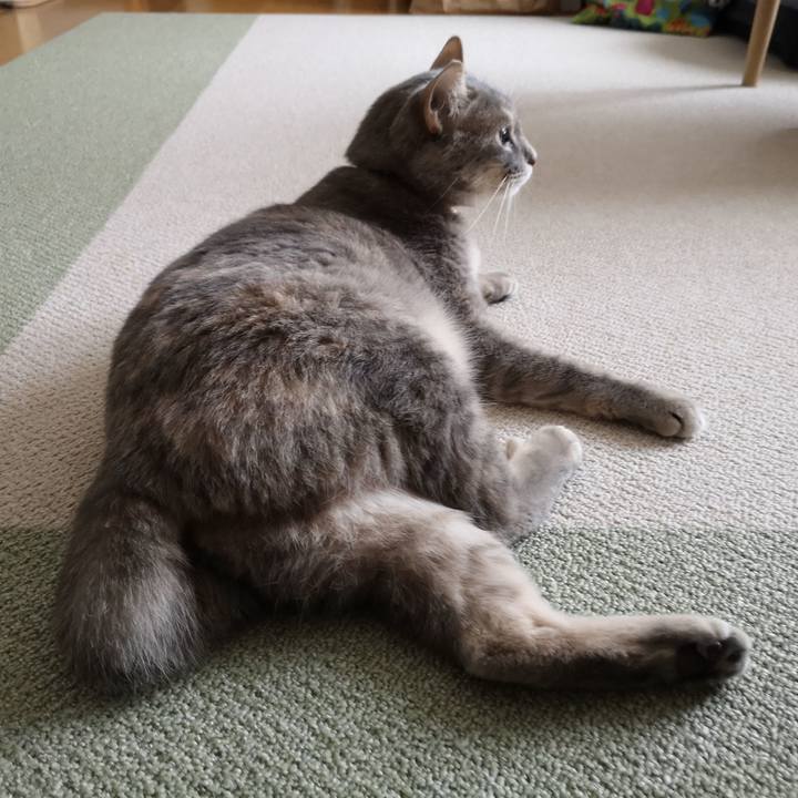 A956db6f 5854 4003 9278 1b608fa5c167 1590550362035