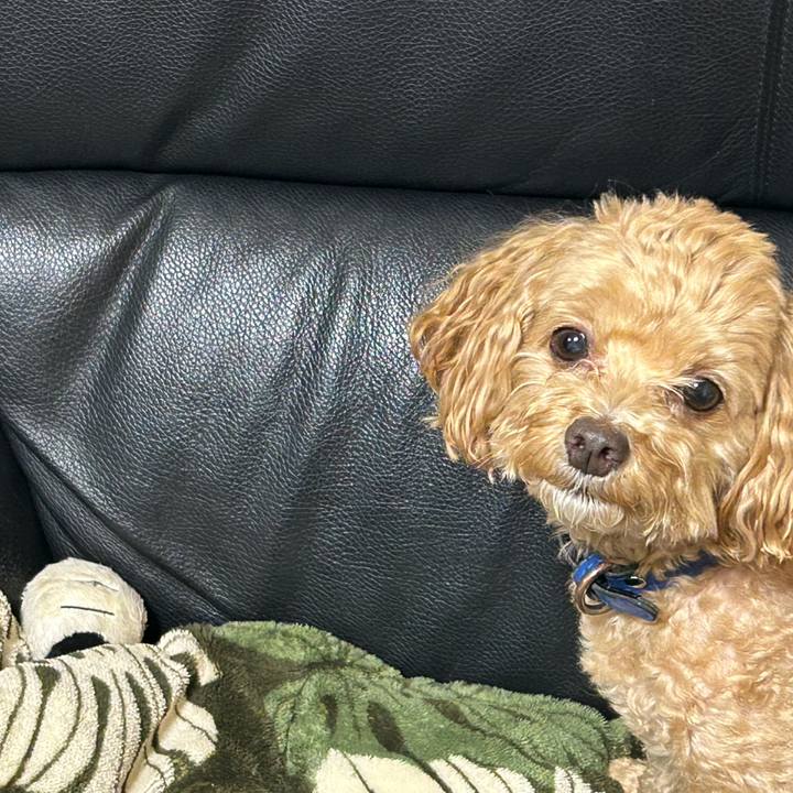 A956f2fd 223b 4400 a31b 76fe093e8de0 1744665952606