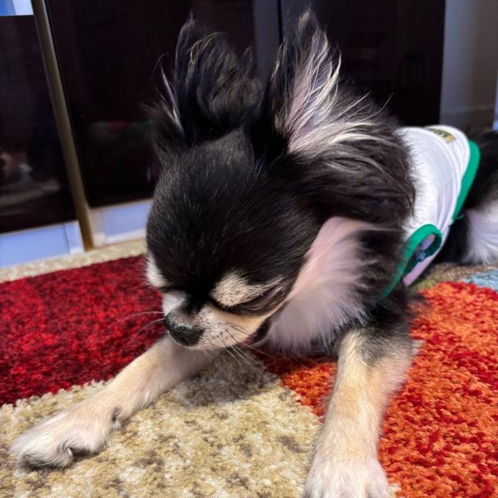 A956f3be c0ae 42b9 b2c0 ad8e81c8356a 1753029027351