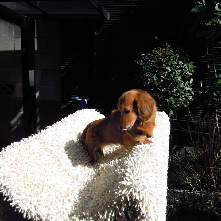 A956f3c2 2a8e 48cb a7d3 9ecf2ab94d42 1544980308724