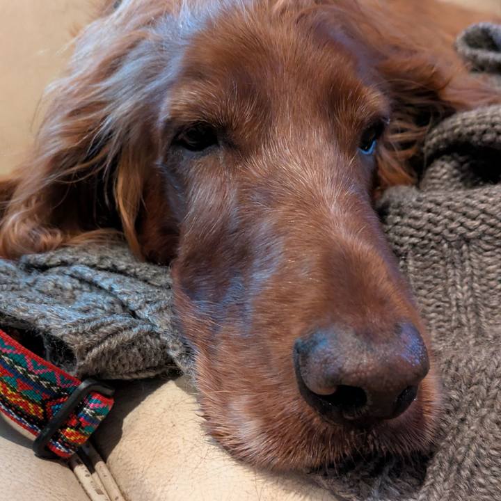 A957016c 16b5 4da2 9183 4e976dfaa8d3 1764380273934