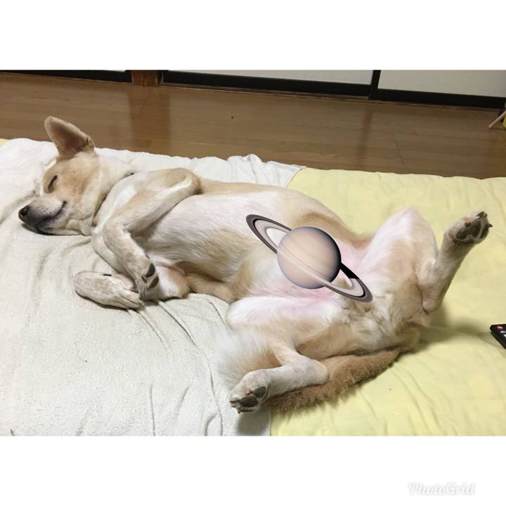 A957246e c1b7 4f77 a0e0 48360da2964e 1532695444468