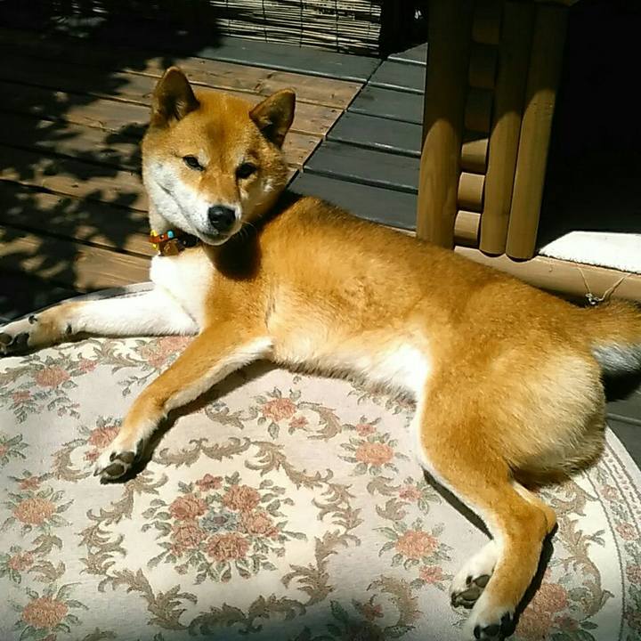 A957539b 2bb4 422b 8327 87fa60af4ee2 1529890179334