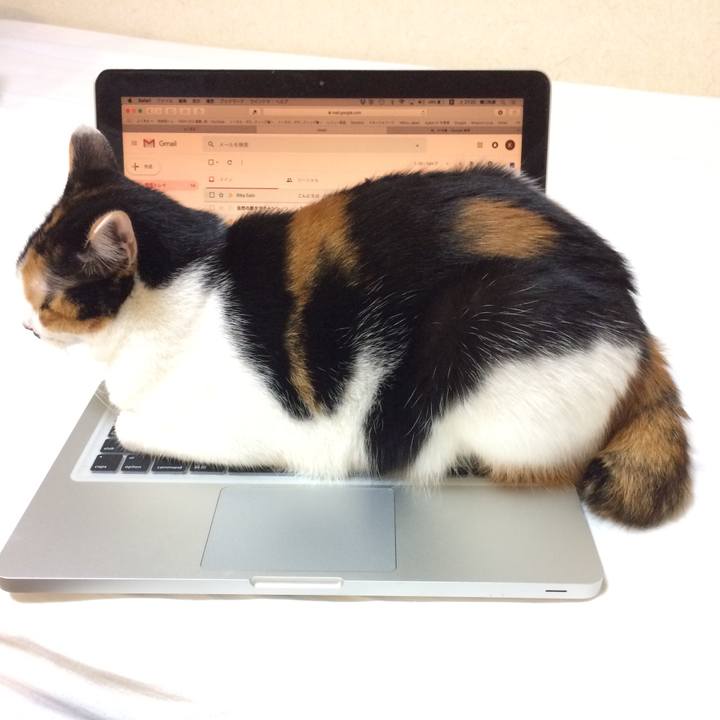 A9575e01 c778 42d6 93eb bc533c970ca1 1540648814822