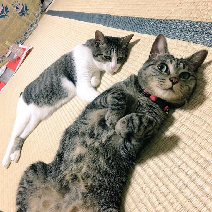 A9576726 9e4e 4c7b aa27 3da7e6ec1f07 1530329712099