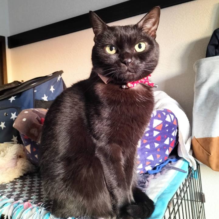 A9576e6c 9f22 4e9b bca1 2e732cd9e7b3 1673566040884