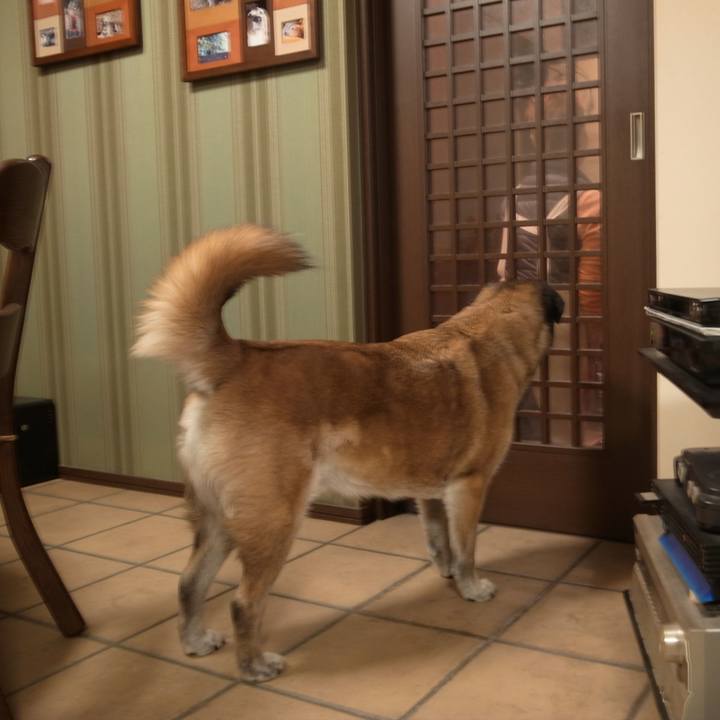 A9579835 97e4 4263 8dee 2bfc977ab5df 1603066612321