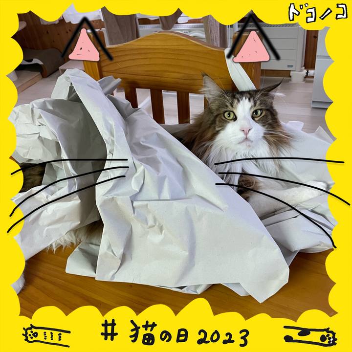 A957d530 5dde 4416 8eca 748e40a74ef0 1677102721429