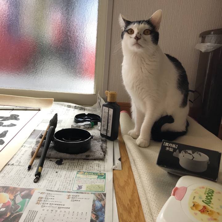 A957da5e 2503 4437 8acc 785e357ab628 1514518140955