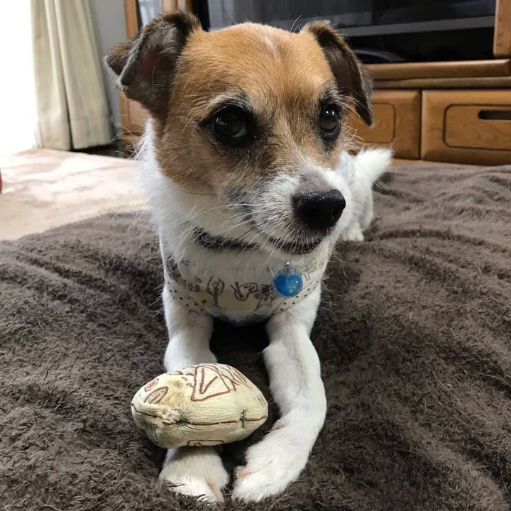 A95855b4 7cb0 48ba 8fe1 a8e5d5407db1 1538037019695