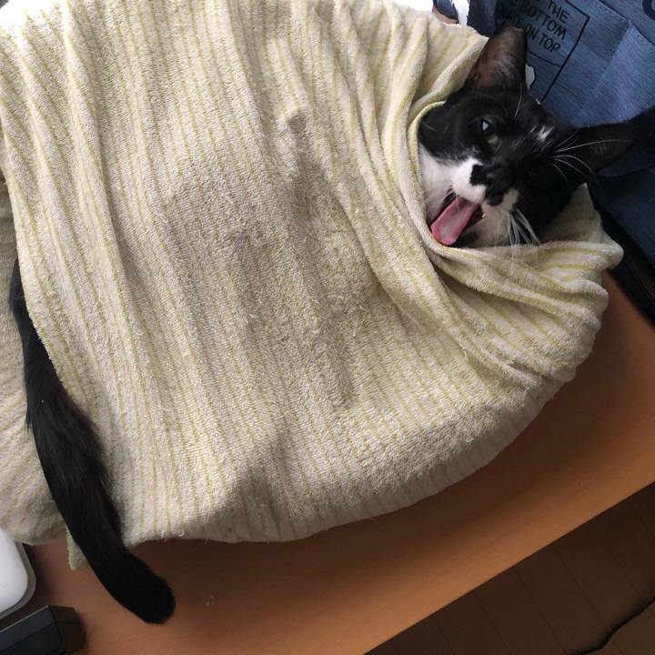 A9585be8 e7e5 4627 92db d96f0dcbdba8 1606981391432