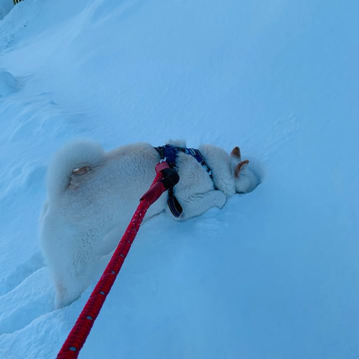 A9586361 abad 46ed bfa1 9b416021c01b 1644532704785