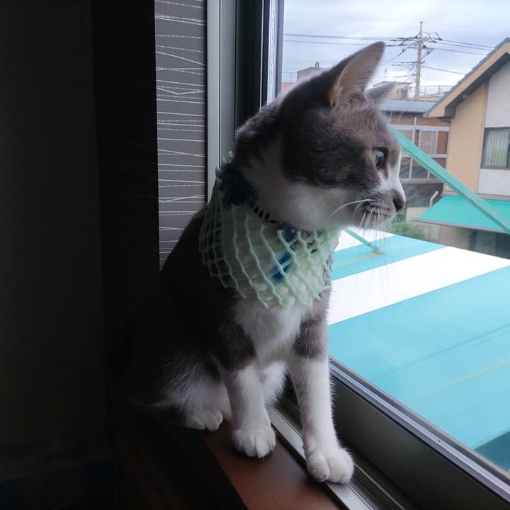 A9586f12 60b2 4359 96c0 027c34af6d63 1666069369098