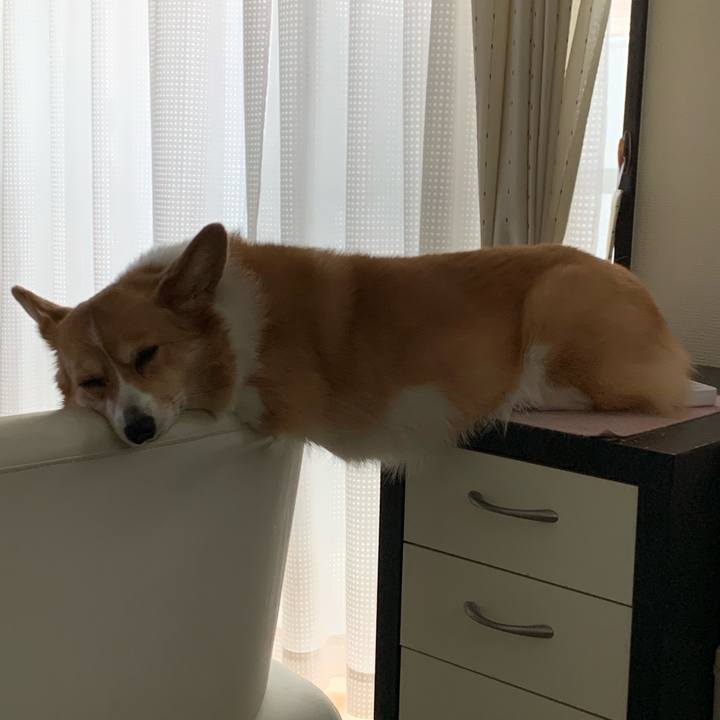 A9587526 b2a7 4830 8356 75d79a7f6399 1586054772790