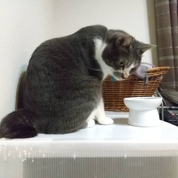 A9589943 4d10 4bb5 b65a fd5614ff3803 1634074987158