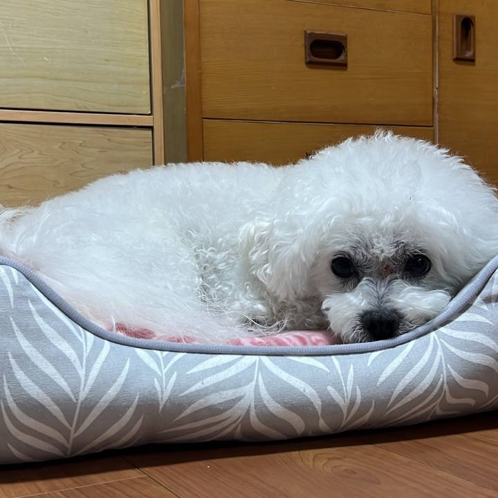 A958cebd 00db 4884 871c 0cd72e8e2a74 1701591958219