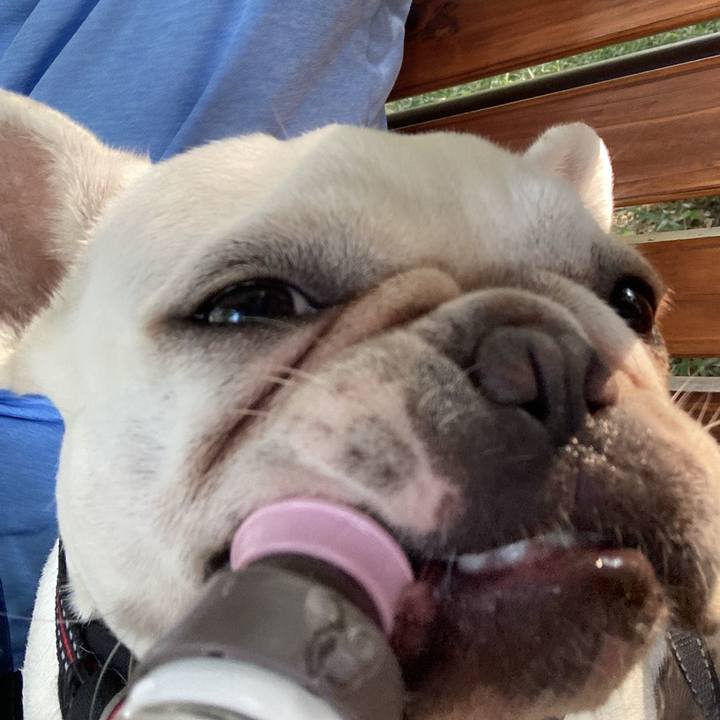 A95901b1 371b 43e6 ba8e ff0d72d10746 1648853375384