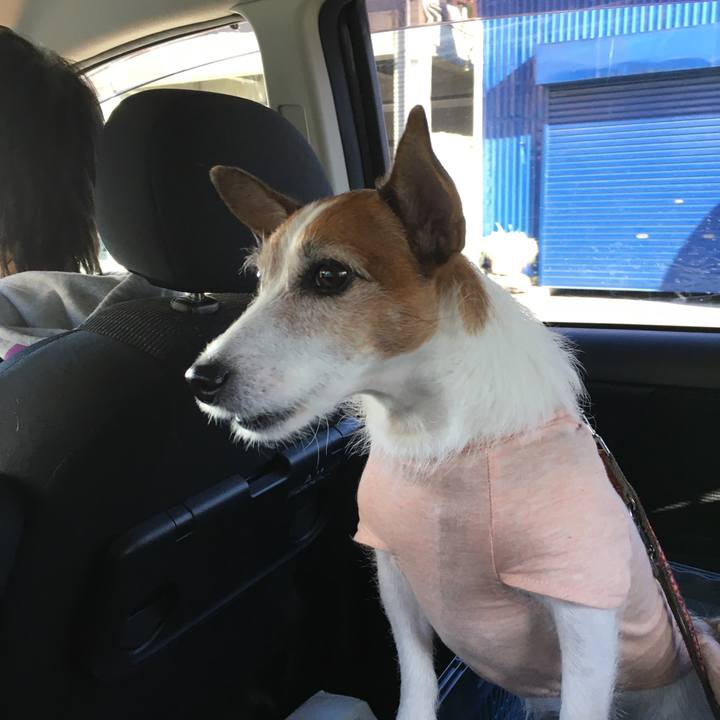 A9592997 d38f 4958 bba0 665516b6f0dd 1604706782577