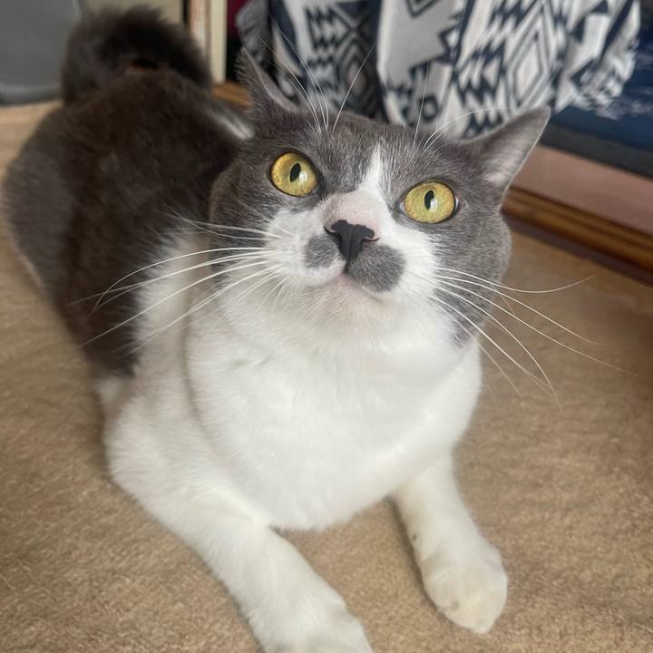 A95940ef ddea 49f1 aa96 b0d72a2ff8ca 1731628916961