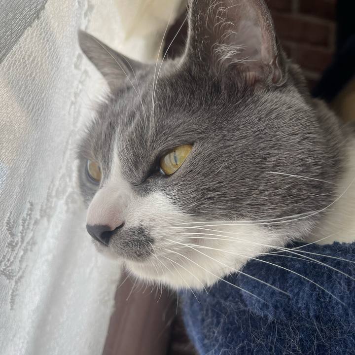 A95950ca 4f7f 4244 9113 8857da0db4f8 1648077062343