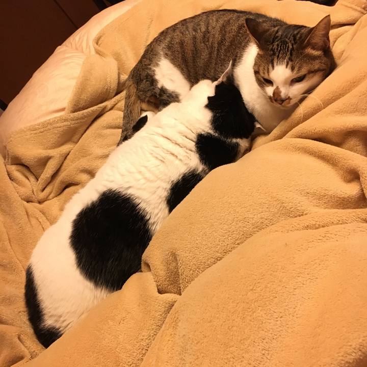 A959626c 3651 4468 8ee4 d5921b2125f8 1513669499102