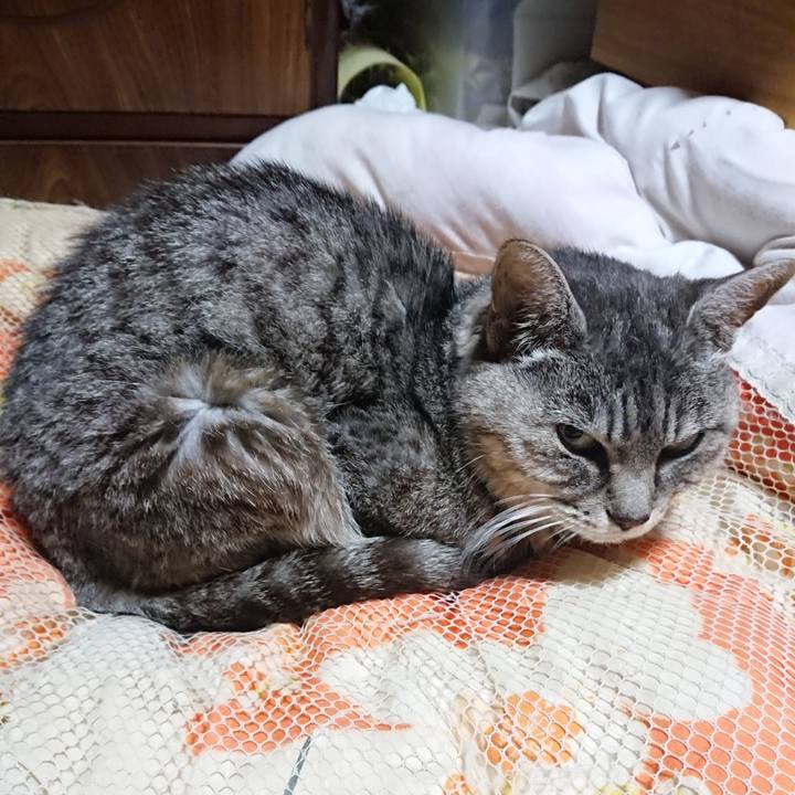 A9599d45 3223 4513 adf7 260d2b852c86 1571833163440