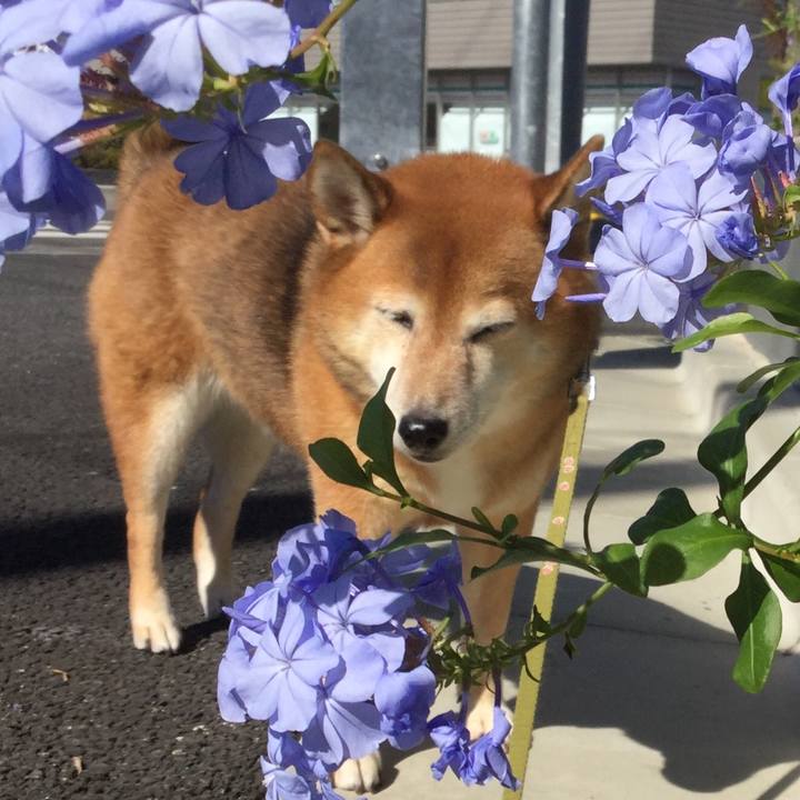 A959c2fa a28c 49d6 a5fb b31bdffef810 1603614634071