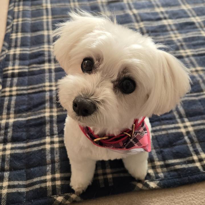 A959f1ea b97d 4081 a6ee e9c0f94ea249 1772528680720