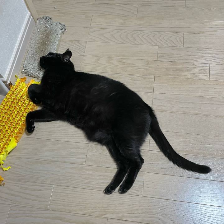 A95a2409 3b14 4a43 906b 2acca3130a4a 1752058080667