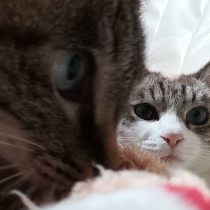 A95a4887 581d 4cb6 9d09 21b83168869c 1577717576109