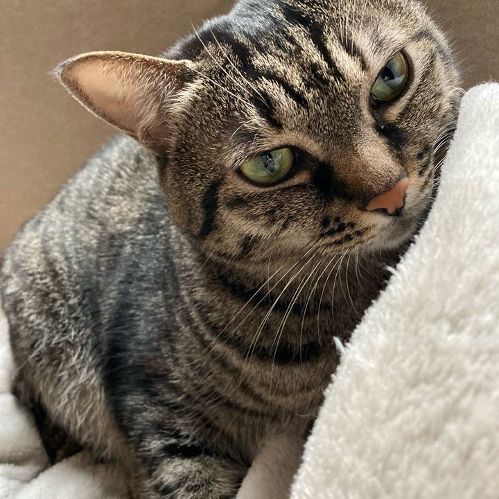 A95a8194 541e 4028 9afe 90c4b208eb62 1606624359383