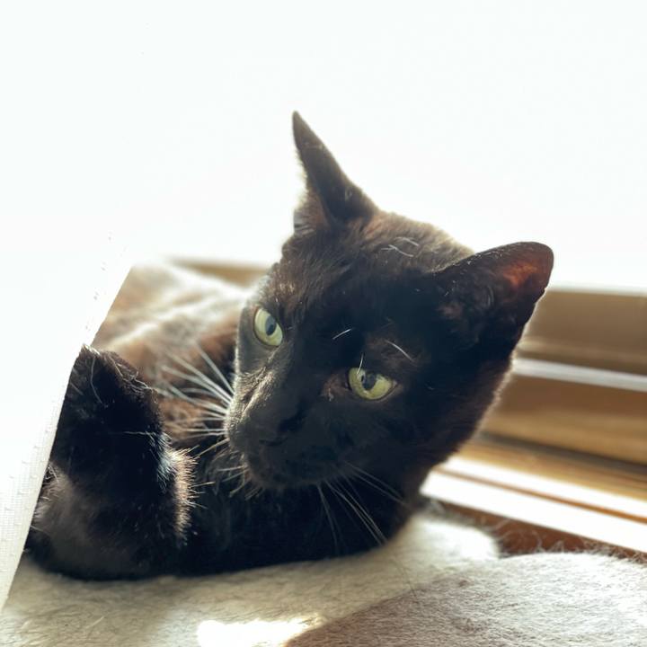 A95a8bb8 96e7 4284 88fa 6a91465c376d 1658798815762