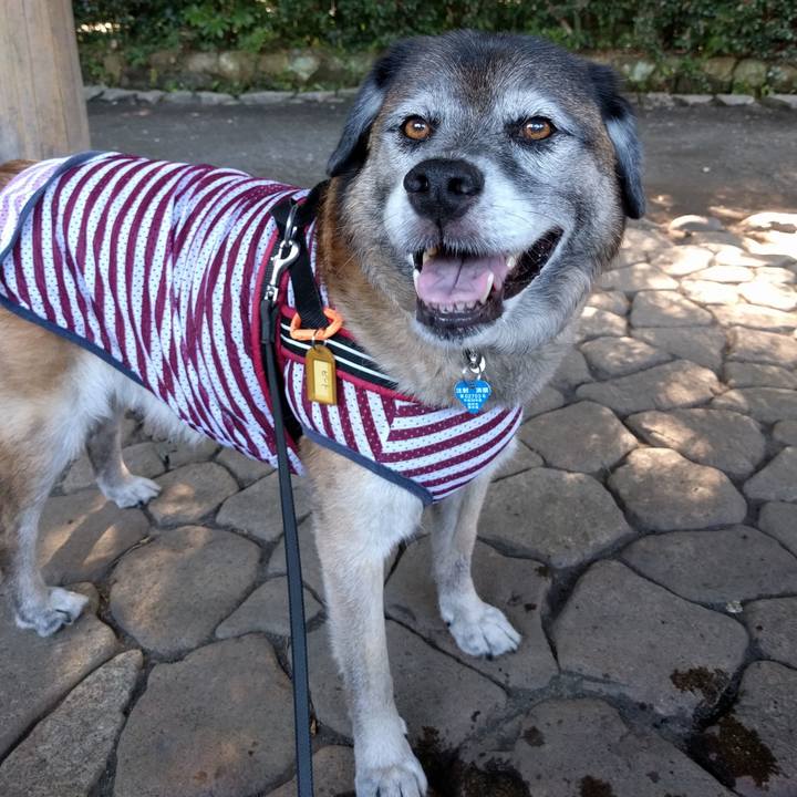 A95aa147 0622 4f77 a796 cb5f86a1ce73 1531183444628