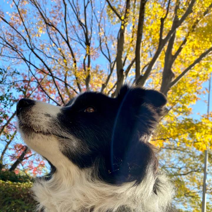 A95abee6 d366 4eb4 aa9a 82948c6b108c 1637368709442