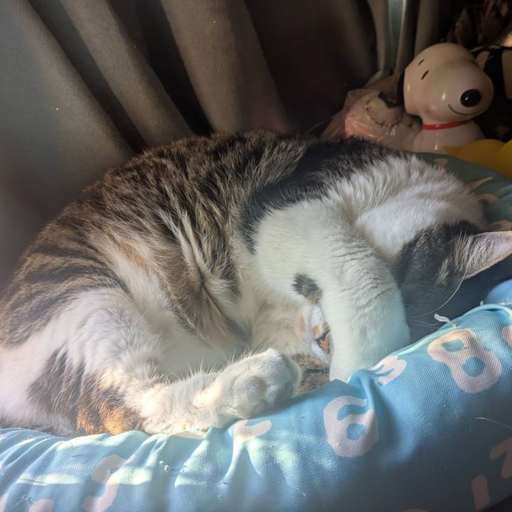 A95ada5f 6f20 4964 b47b 04a6390f5222 1763963615664