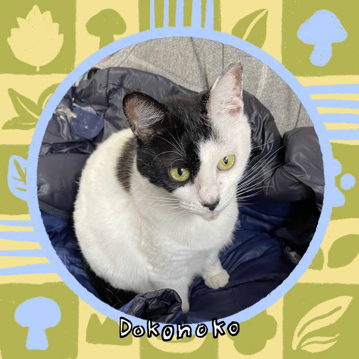 A95b11fe af2a 4f7e 8505 b96b787f5d28 1761977799984