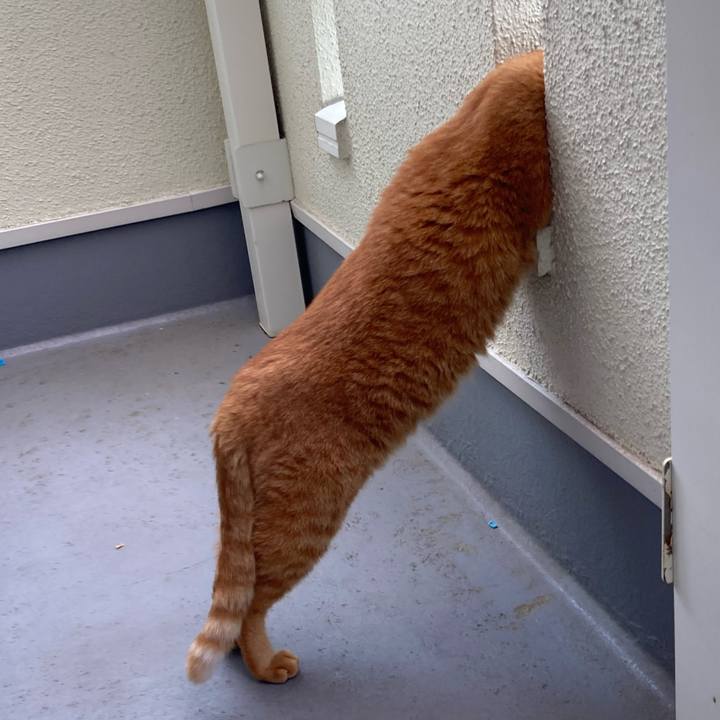 A95b13cf 8b30 4734 8d2b 30152267b49f 1757047877321