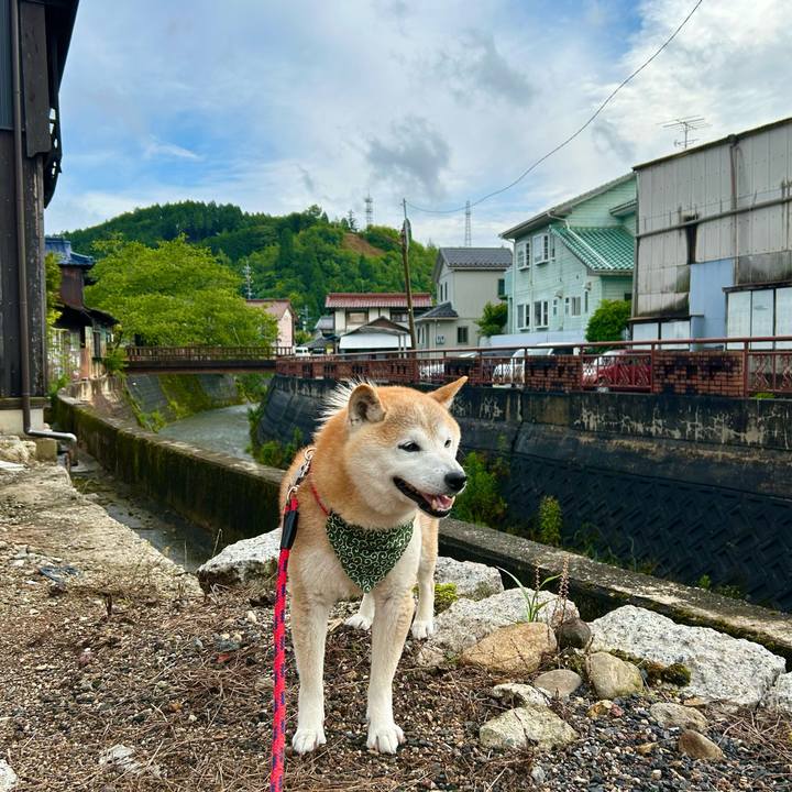 A95b29cb 6009 434e b011 868fad21e663 1749813988792