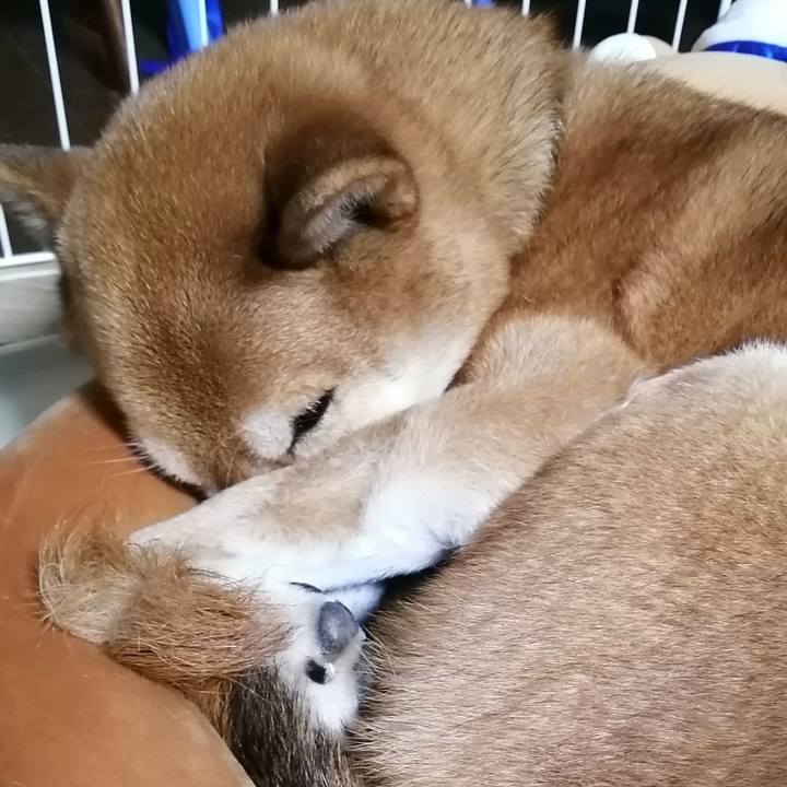 A95b307c bd29 4a7e 8a85 937c6c8bfc61 1611923974978