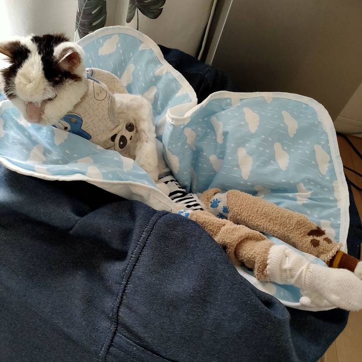 A95b383b 9dd5 48c3 b072 49017d924e1f 1617679285771