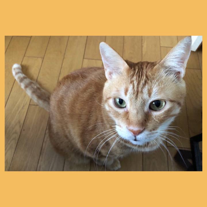 A95b556c 7170 4fac 871b dbb2f3734b69 1575095545297