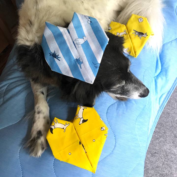 A95b9461 51b3 414e 80d7 3d0001b3c4d0 1528192735749