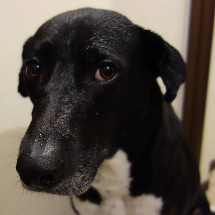 A95c1f13 6147 4bd6 a35a 89c40f781885 1617532238191