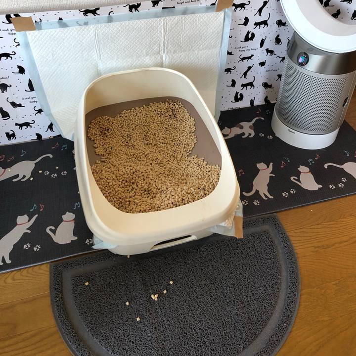 A95c2de5 d35f 46a2 b3b1 f13a2a0a67d7 1559979786218