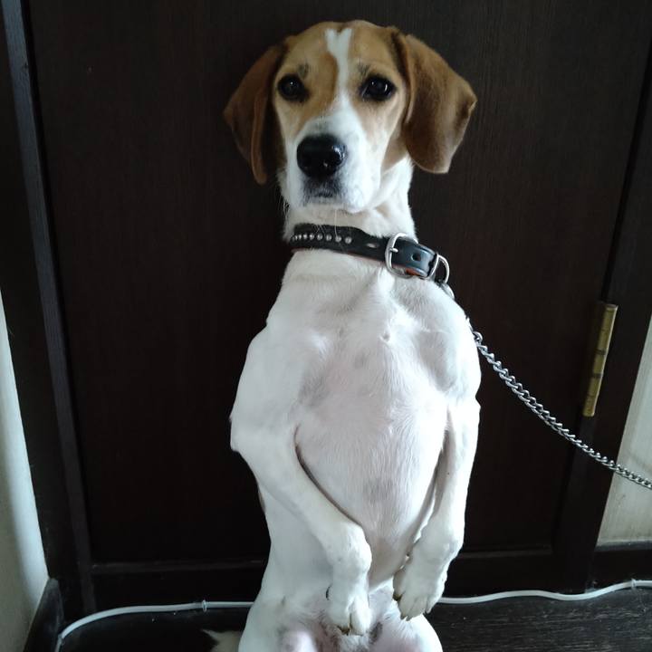 A95c41d6 5c6d 4d9c 8555 197252c81cdf 1636375719395